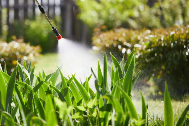 Tamper-Resistant Bait Stations for Rodents in East Norwich
