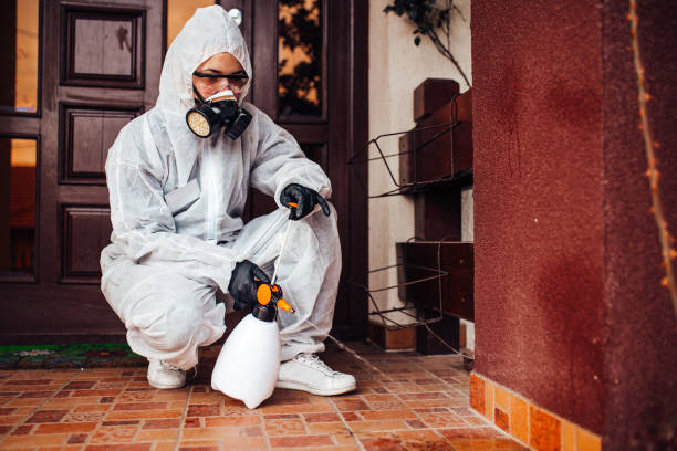 Attic and Crawl Space Rodent Treatment in East Norwich